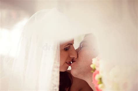 Groom And Bride Kissing Under The Veil Stock Image Image Of Cheerful