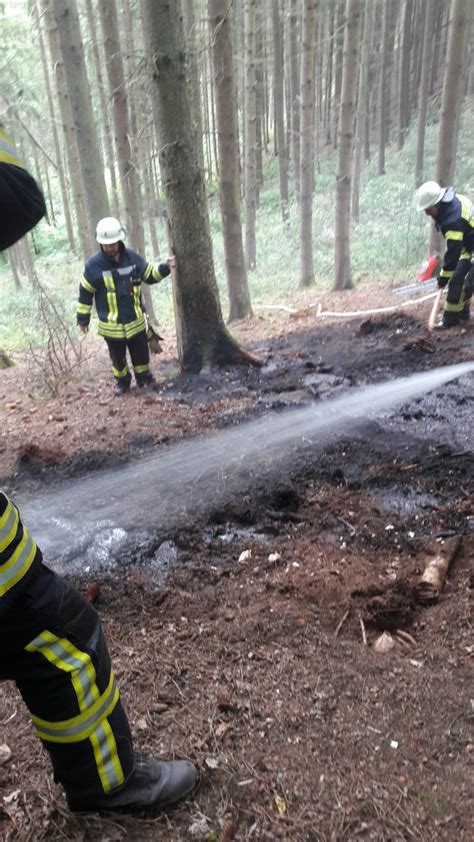 Flächenbrand klein Feuerwehr Pluwig Gusterath