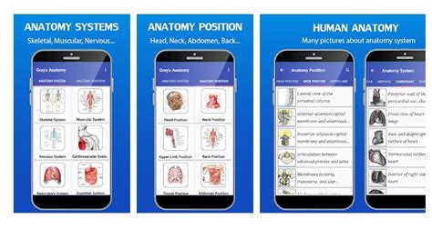 10 Best Human Anatomy Apps For Android In 2023