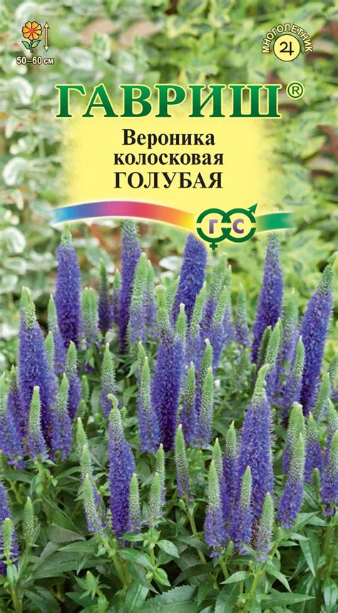 Семена Вероника колосковая голубая, 0,1г, Гавриш, Цветочная коллекция ...
