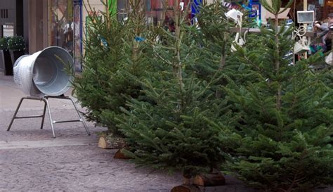 Où jeter son sapin de Noël à Vienne ESSOR Isère