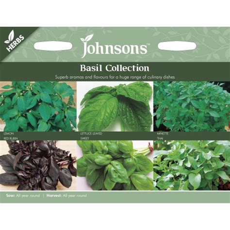 Johnsons Seeds Pictorial Pack Vegetable Basil Collection On Onbuy