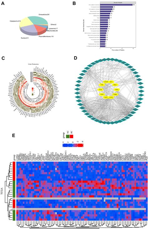 Subcellular Localization And Ppi Network Construction A Subcellular Download Scientific