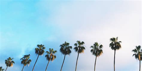 Top Cosmetic Dermatologists In The Us Clderm San Diego