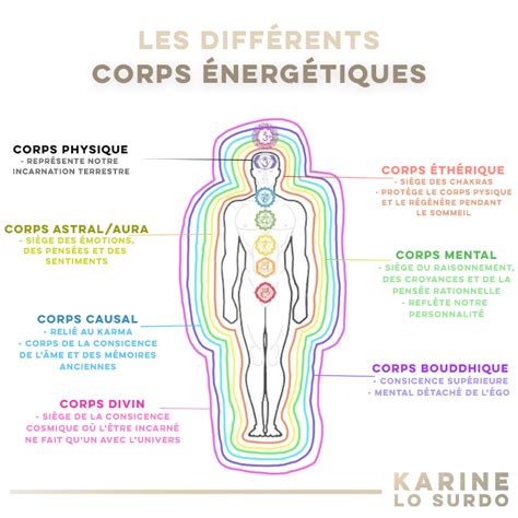 Les différents corps énergétiques Corps éthérique Anatomie