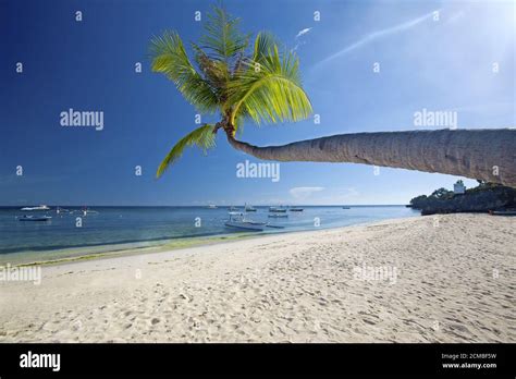 Panglao Island, Bohol Stock Photo - Alamy