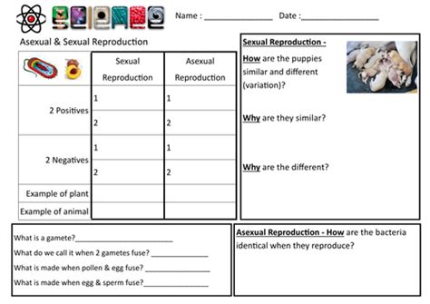 Asexual And Sexual Reproduction Lesson Aqa Gcse 461 B131 Teaching Resources