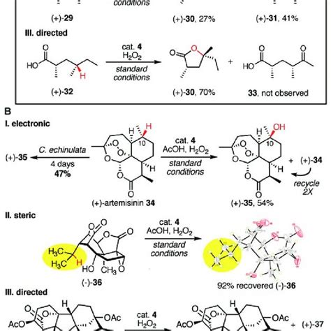 A Development Of A Preparatively Useful Aliphatic C H Oxidation