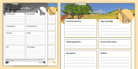 Ks Giraffes Fact File Template Twinkl