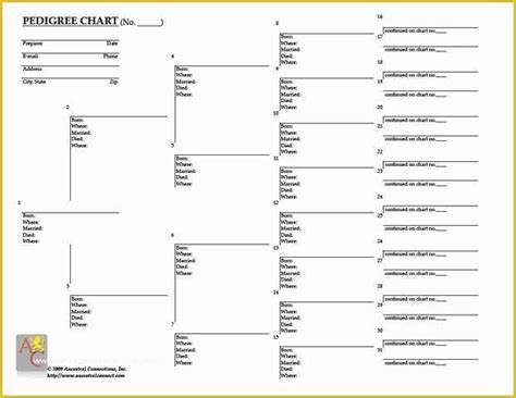 Free Rabbit Pedigree Template Of Rabbit Pedigree Blank Chart Rabbits ...