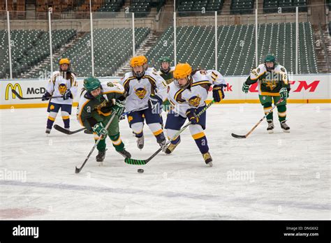 High School Girls Ice Hockey Stock Photo Alamy