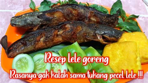 Resep Lele Goreng Beserta Tips Menggoreng Ikan Youtube