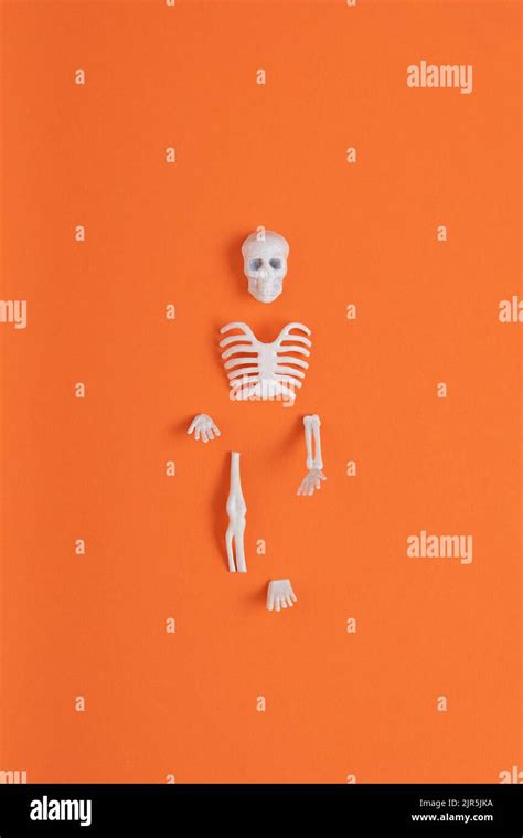 Skeleton Parts Isolated On Orange Background Minimal Abstract