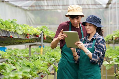 Maukuliah Agribisnis