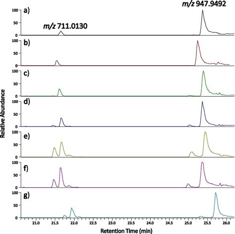 Extracted Ion Chromatogram At Mz 7110130 And 9479492 For Maba A