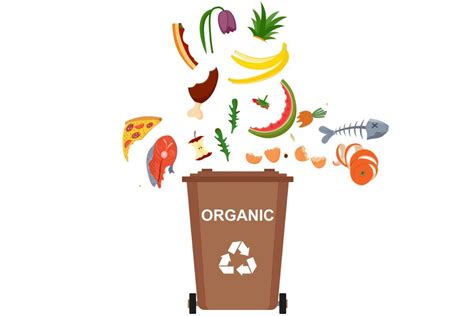 What Is Organic Waste Types Sources And Benefits