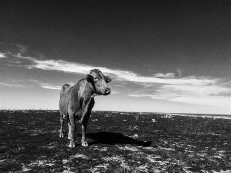 The New Reality Of Destructive Wildfires In The Texas Panhandle