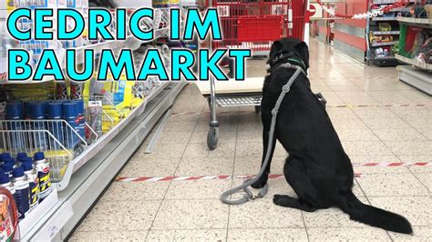 Cedric Der Labrador 110 Cedric Im Baumarkt YouTube