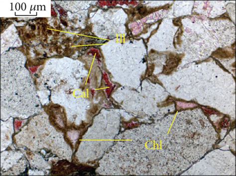 Pore Types And Filling Mineral Compositional Characteristics Of The