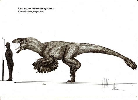 Were Doing Raptors Now Heres Utahraptor The Biggest Of Them All