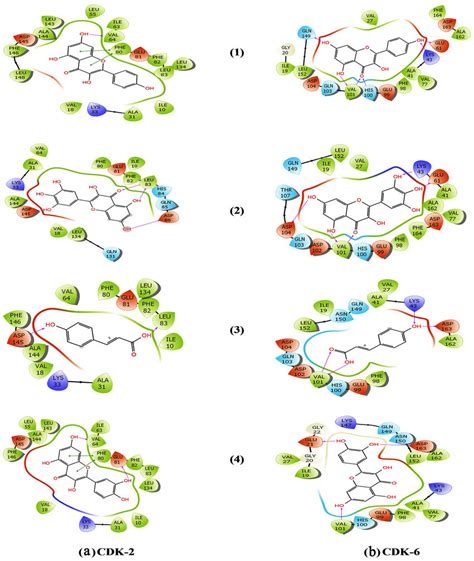 2d Representation Of Interaction Between Ligand Molecules 1