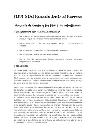 Tema La Novela Del Renacimiento Al Barroco Pdf