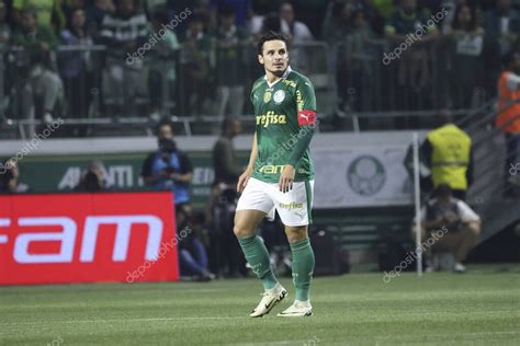 Sao Paulo Feria Brasileiro Palmeiras Junio Allianz Parque