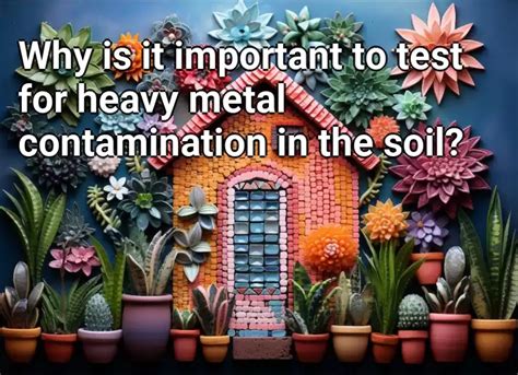 Why is it important to test for heavy metal contamination in the soil ...