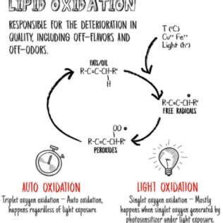 The process of oxidation. | Download Scientific Diagram