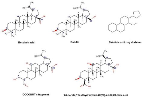 Chemical Structures Of Betulinic Acid Betulin Cyclic System Skeleton