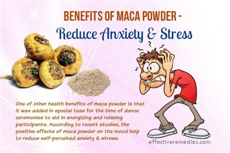 Top 18 Health Benefits Of Maca Powder – Its Uses & Side Effects