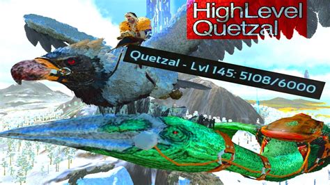 High Level Quetzal Tame With Argy And Grapples How To Tame A Quetzal