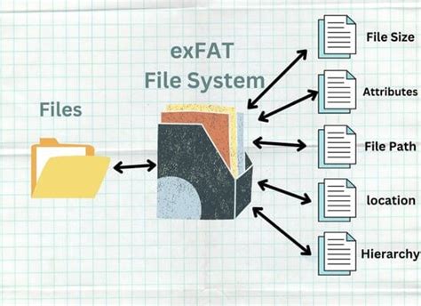 Sistema de Archivos exFAT Qué Es y Por Qué Se Recomienda