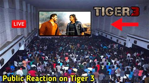 Tiger 3 First Day First Show Theater Public Response Tiger 3 Theater