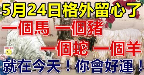 5月24日要格外留心了，一個馬，一個豬，一個蛇，一個羊！ Peekme