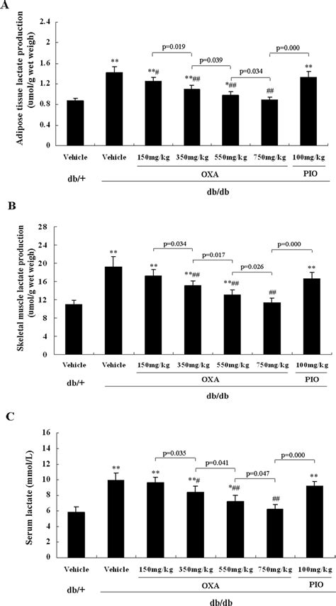 Effects Of OXA On Tissue Lactate Production And Serum Lactate