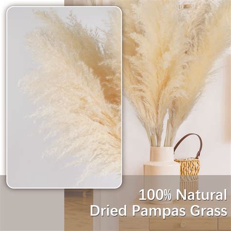 Pampas Grass 48 Inch 4ft Pampas Grass Decor Tall 5 Stems Natural Dried Pampas Grass Decor 5