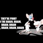 Pinky And The Brain Meme Generator - Imgflip