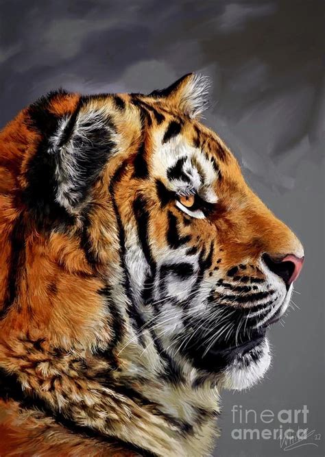 Tiger Digital Art By Art By Three Sarah Rebekah Rachel White Pixels