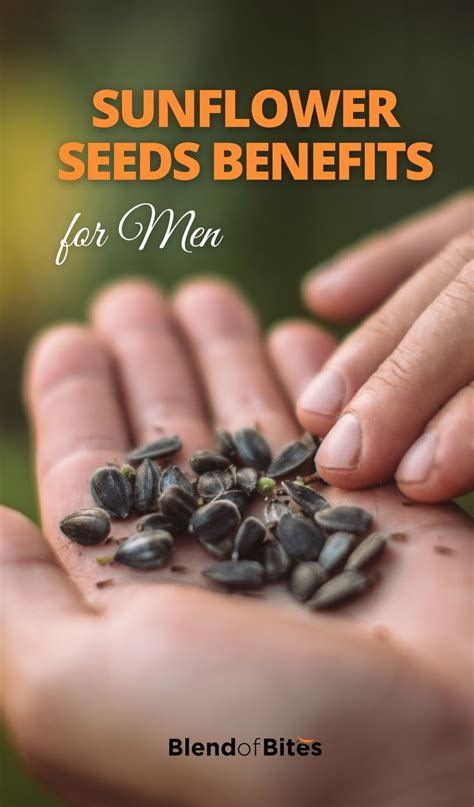 The Surprising Benefits Of Sunflower Seeds For Men Blend Of Bites Healthy Habits Sunflower