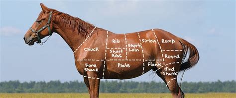 Horsemeat: The Joy of Horse Tartare