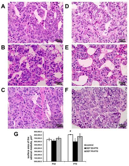 Ijms Free Full Text Impact Of Prenatal And Postnatal Exposure To