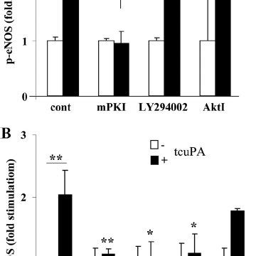 A Lrp And Pka Inhibitors Block Upa Pai Induced Pmvec Permeability