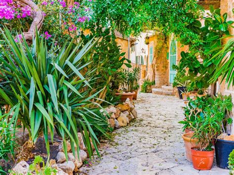 How To Create A Mediterranean Garden