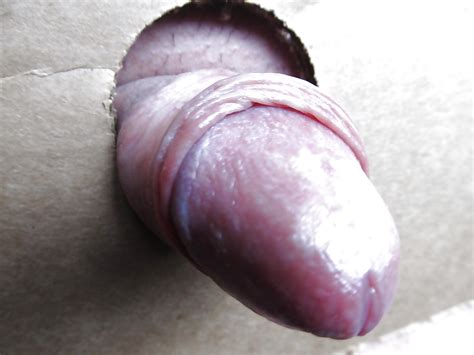 COCK SOUNDING Porn Pictures XXX Photos Sex Images 808008 PICTOA