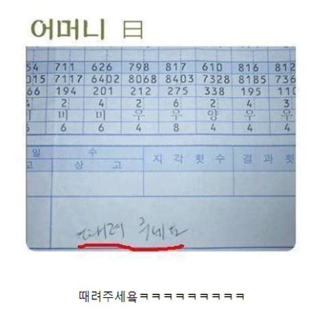 박명수 생활기록부 오픈이슈갤러리 인벤