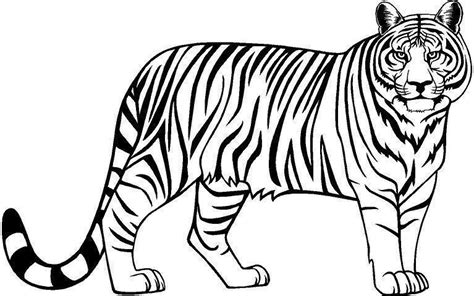 free tiger clip art black and white 10 free Cliparts | Download images ...