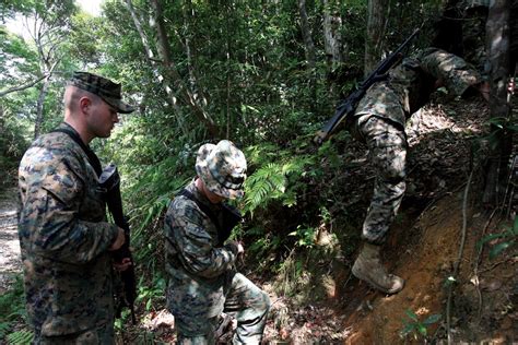 DVIDS Images Jungle Warfare Training Center Image 3 Of 6