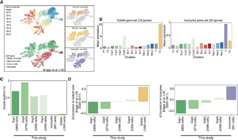 Function Of Multipotent Early Epithelial Progenitors In The Development