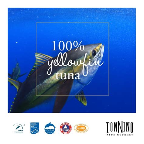 Tonnino Tuna Yellowfin Jarred Premium Tuna Fillet In Olive Oil Wild